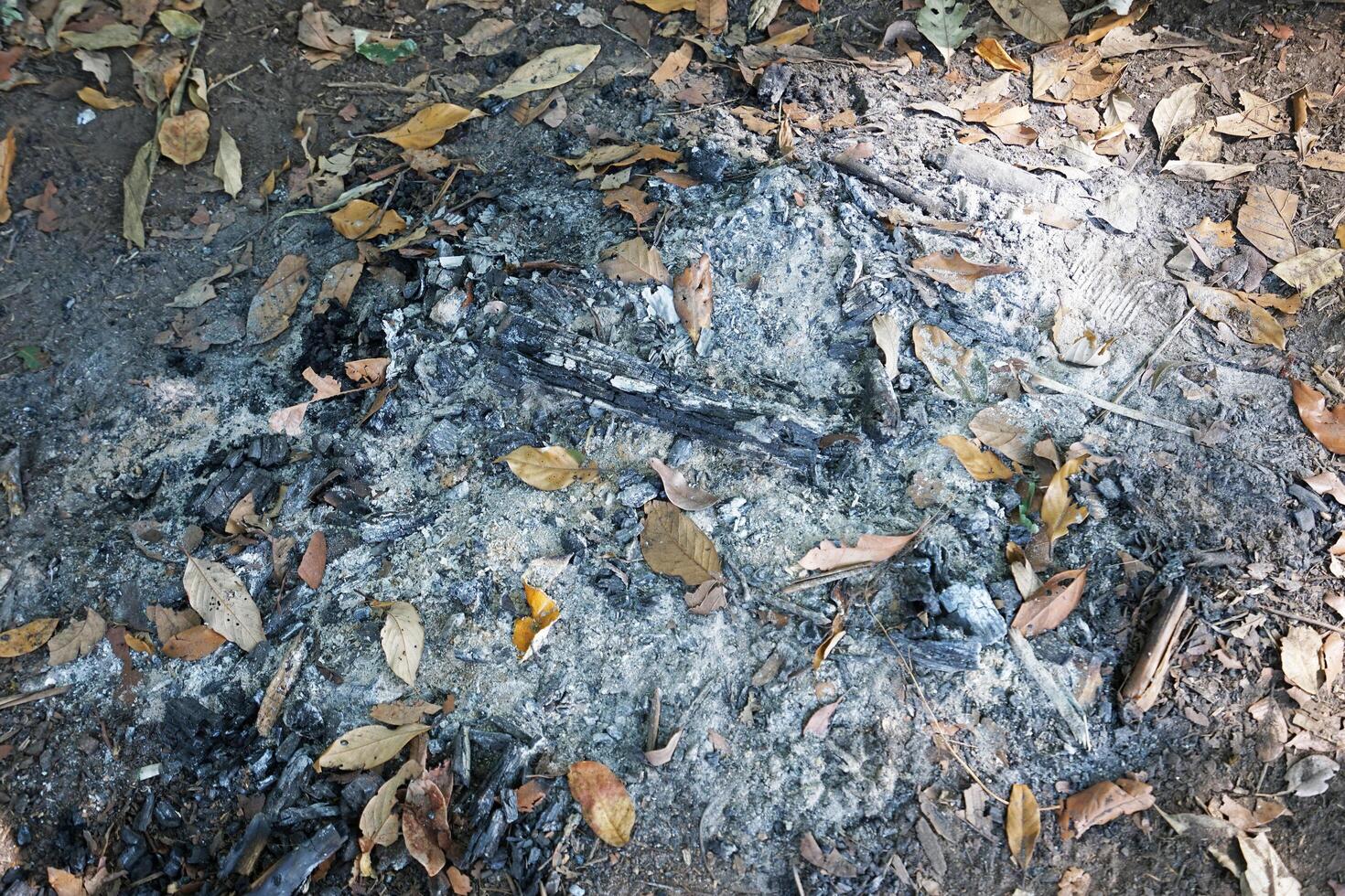 Close up pile of burning log wood, dried leaves and outdoor fireplace on the ground photo