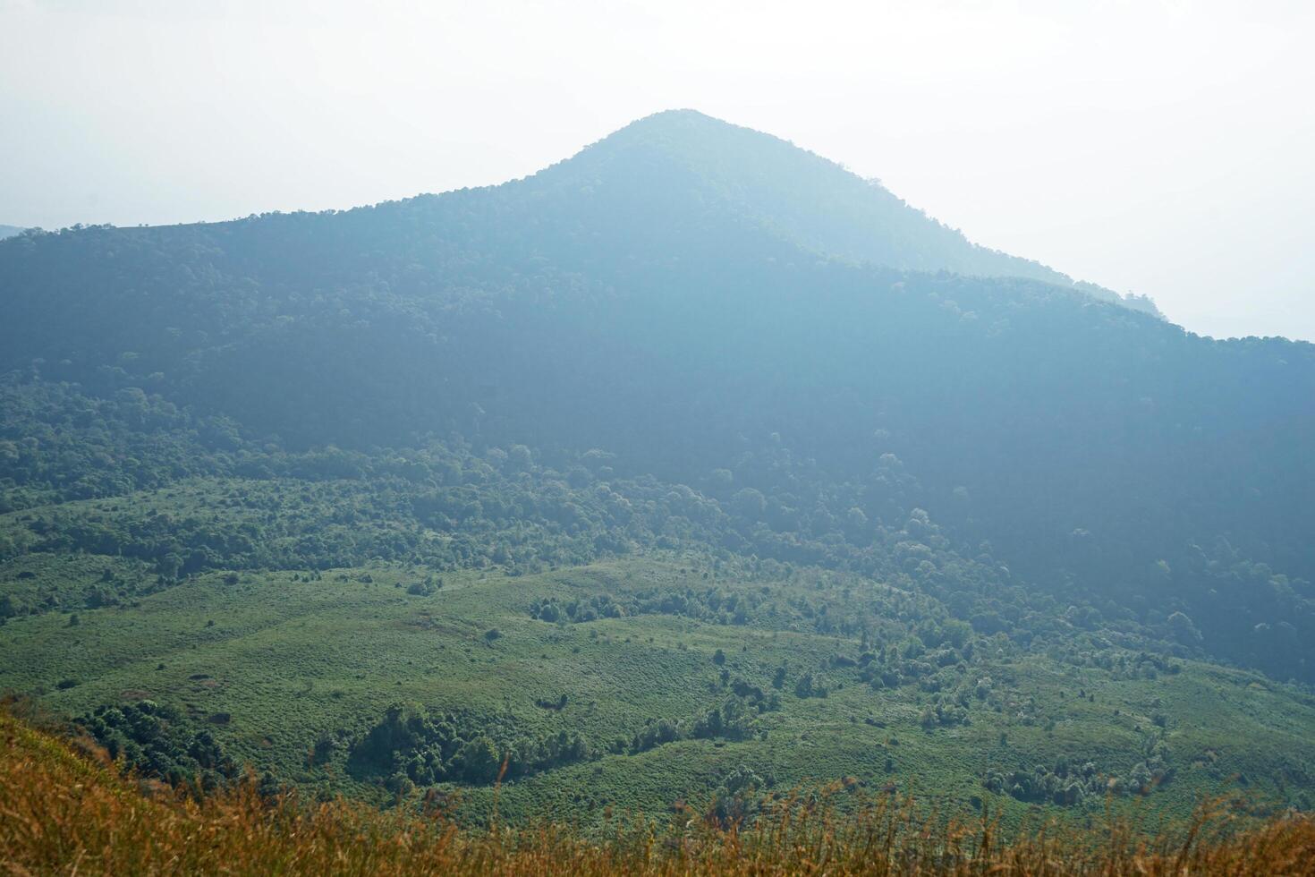 Natural top landscape of green mountain summit range with cloudy white sky photo