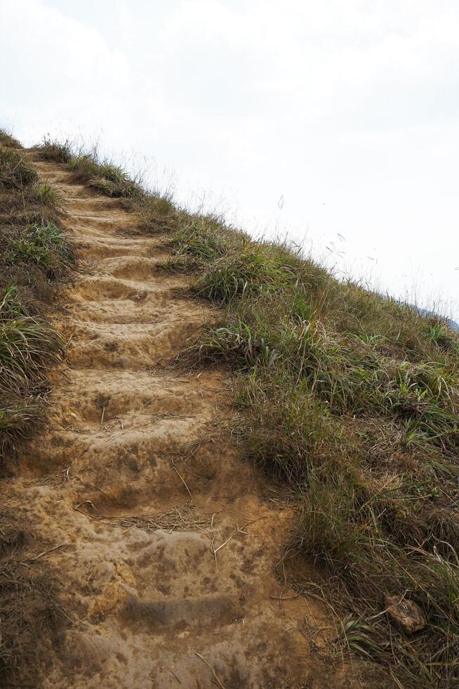 Natural landscape of green forest park, trail pathway and cloudy white sky photo