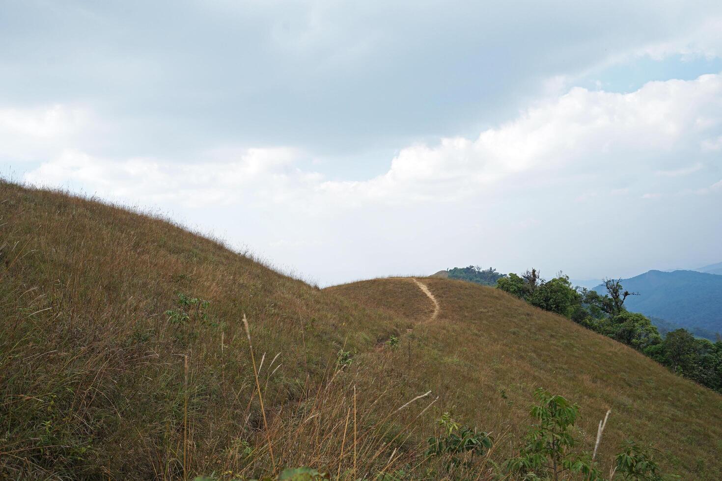 Natural landscape of trail path with green grass and cloudy sky photo