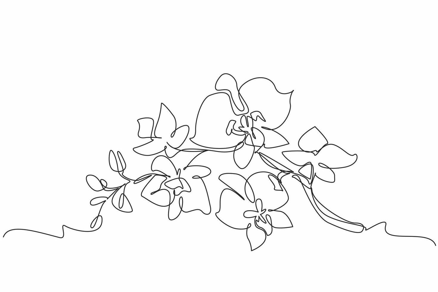 Single continuous line drawing orchid flower. Plants used for perfume. Relieving excess stress. Adding beauty to the interior of the room. National Orchid Day illustration. One line design vector