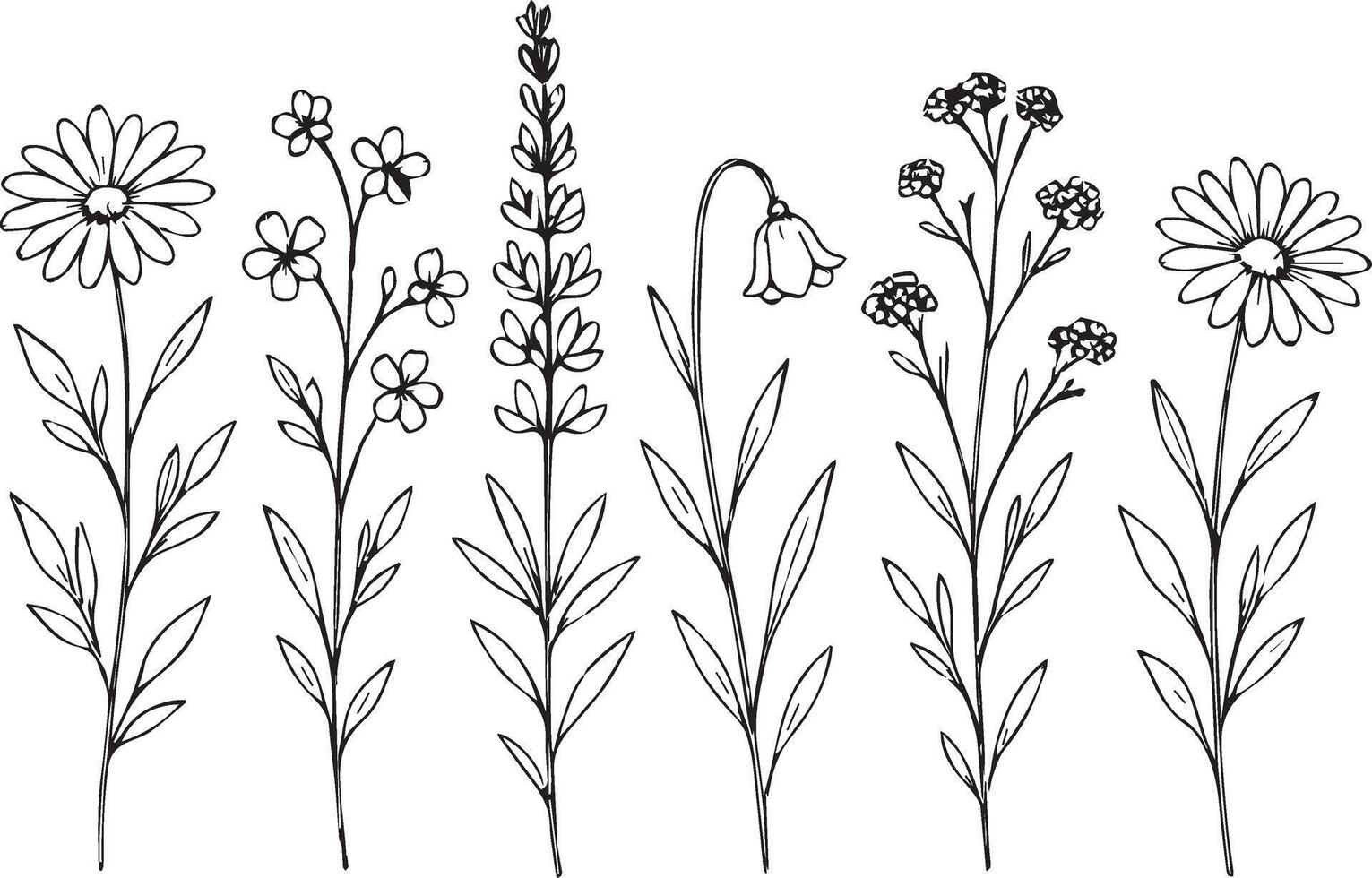 Illustration of six stylized flowers arranged in a row, each with distinct features. vector