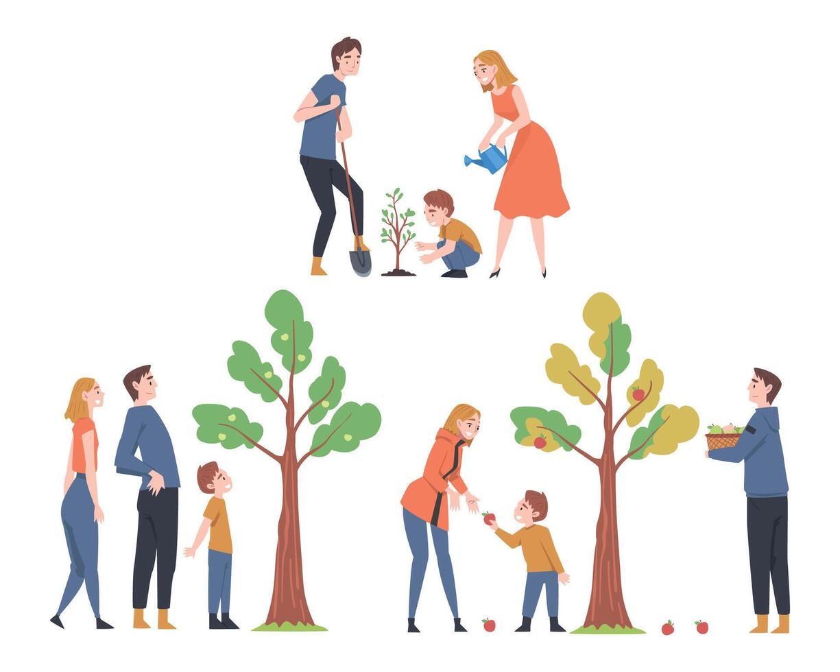 People Characters Watering Tree and Picking Fruits Illustration Set vector