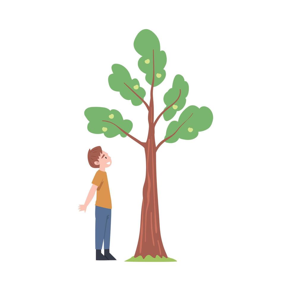 Little Boy Standing Near Fruit Tree and Watching Illustration vector