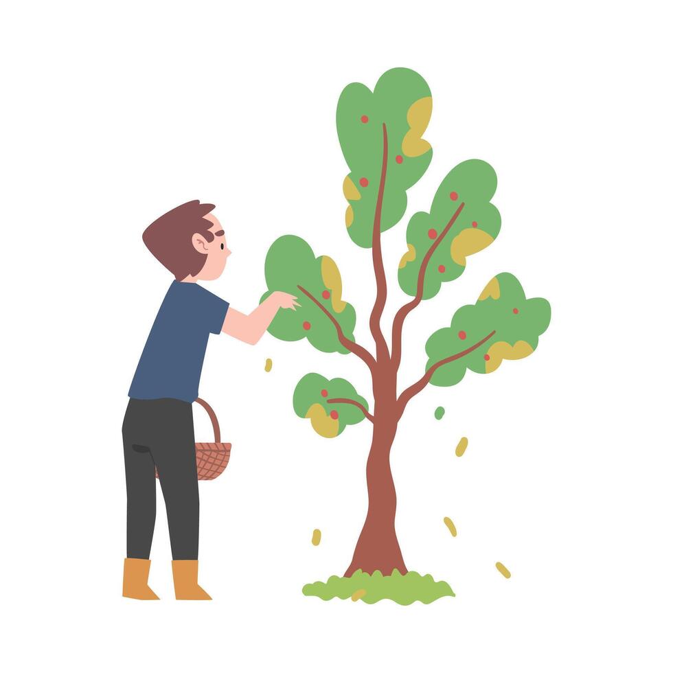 Little Boy Holding Wicker Basket and Picking Fruits from Tree Illustration vector