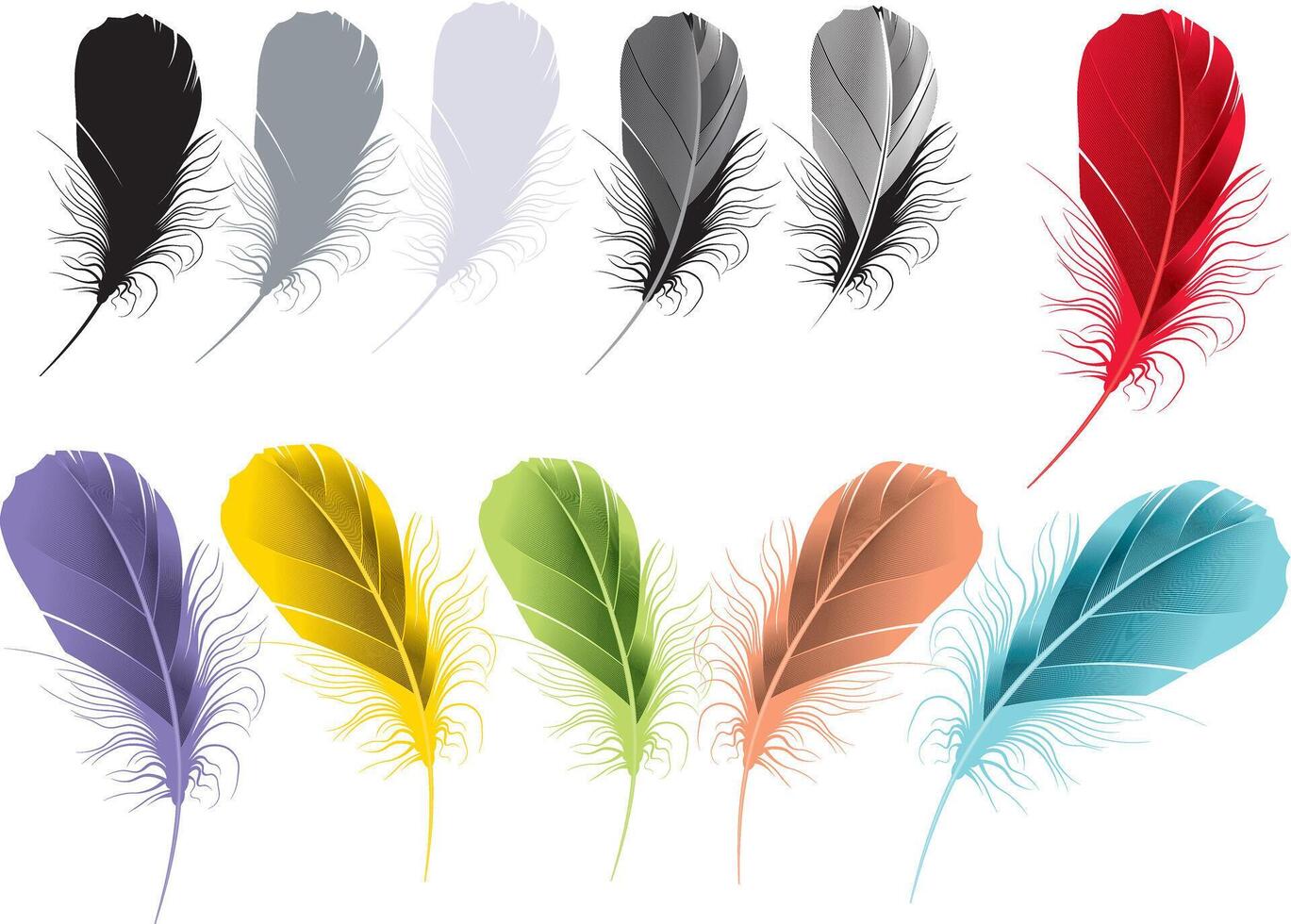 Vibrant Multicolor Feather Art on White Background vector
