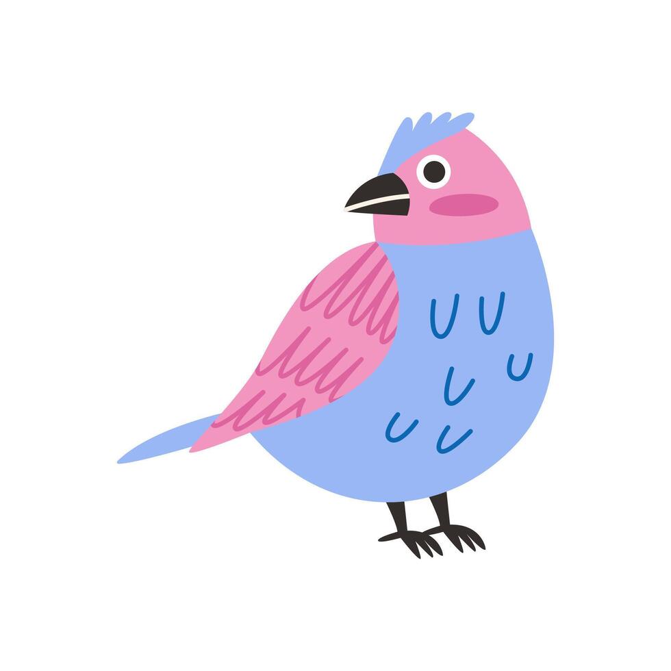 Spring blue and pink bird illustration. Cartoon illustration in childish style isolated on white background. vector
