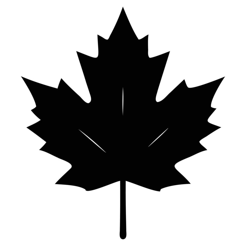 Stylized Maple Foliage Graphics vector