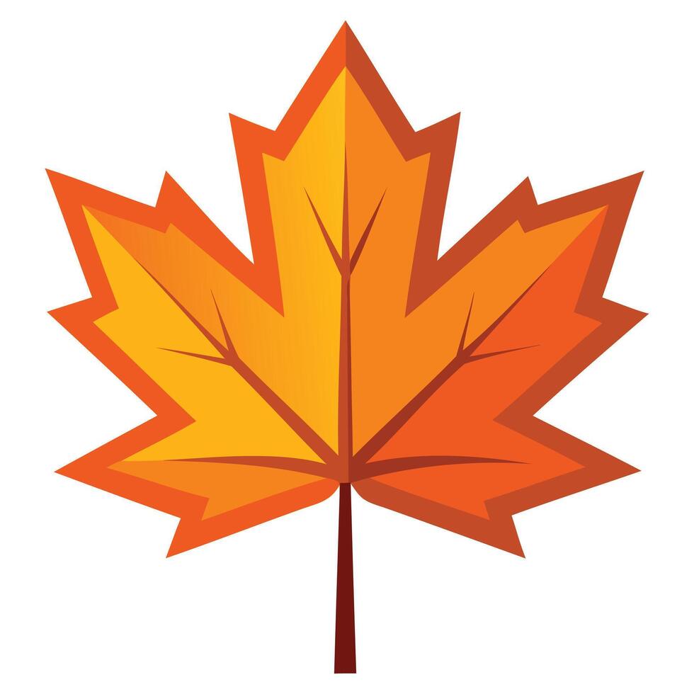 Autumn Maple Leaf Vecto Art vector