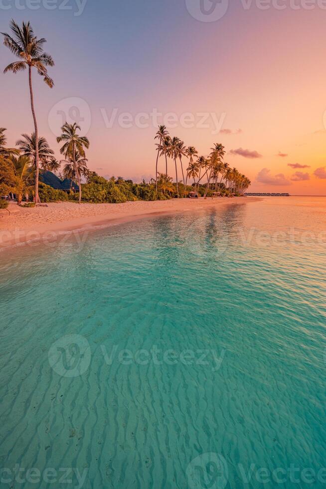 Beach at sunset with palm trees photo