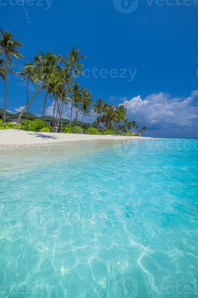 Tropical beach with clear blue water photo