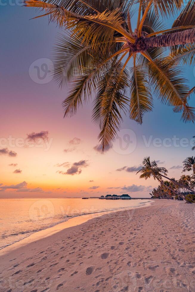 Tropical beach at sunset with palm trees photo