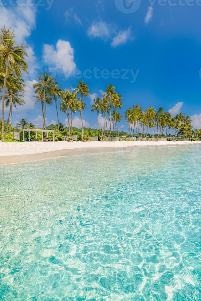 Tropical beach with clear water and palm trees photo