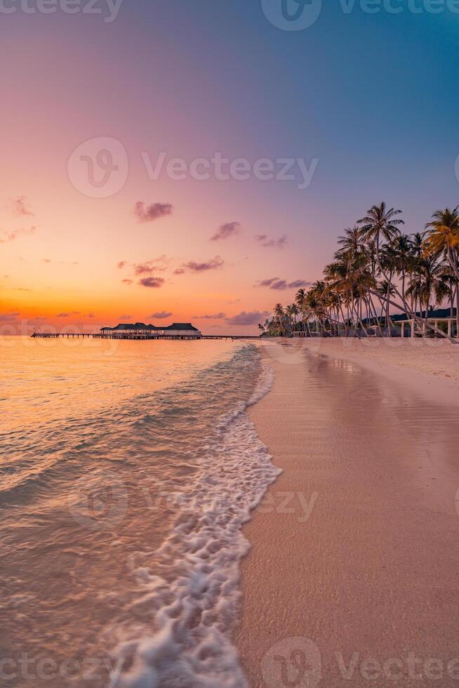 Tropical beach with palm trees at sunset photo