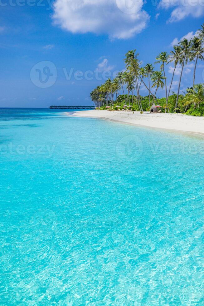 Vertical panoramic tropical beach with white sand and turquoise sea, exotic island paradise for summer vacation, peaceful travel background with ocean view and clear horizon photo