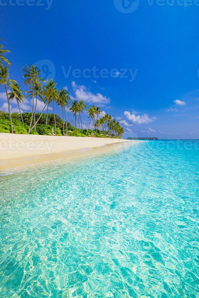 Tropical island shoreline in vertical panorama with turquoise sea and bright white sand, exotic coastal destination for summer escape, beach lifestyle, and ocean retreat photo