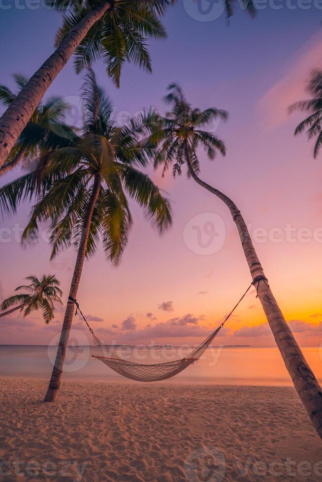 Sunset sunrise hammock hanging between palm trees on tropical beach, peaceful serene vacation getaway, tranquil nature landscape, warm colorful sky, tropical island paradise, outdoor relaxation photo