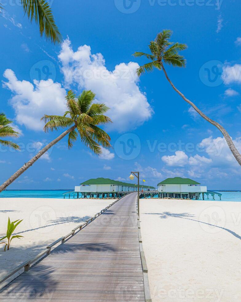Tropical Maldives jetty with luxurious water villas, palm trees swaying over crystal clear turquoise water, pristine white sand beach, serene island paradise, and exotic vacation getaway photo