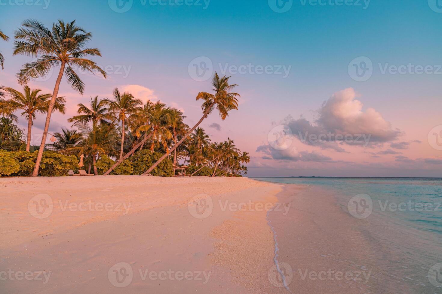 Closeup of sea sand and palm trees at tropical island beach during sunset, serene shore landscape inspiring relaxation, tranquility, and peaceful vacation vibes photo