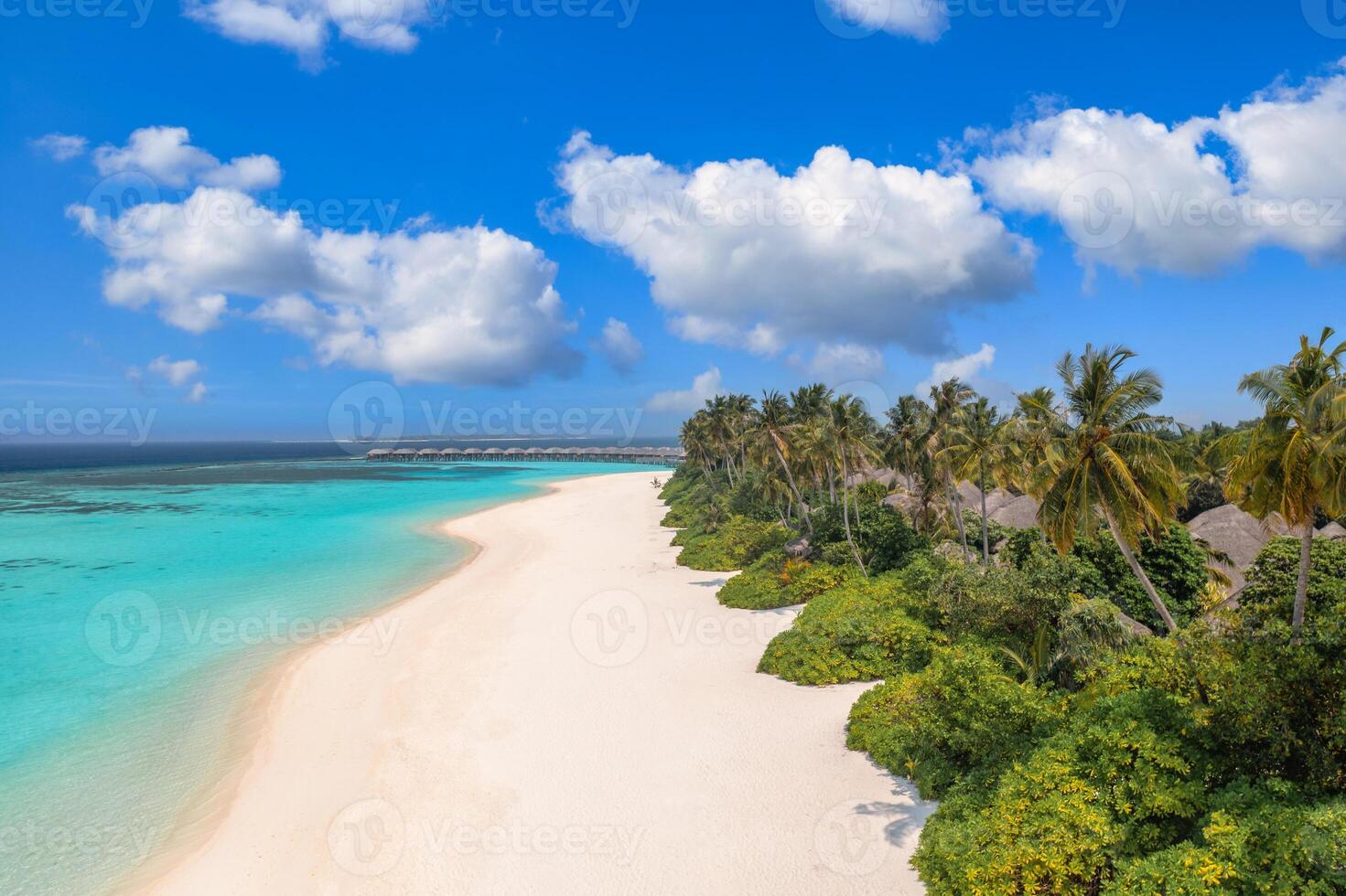 Aerial view of Maldives beach with palm trees, clear sea, soft sand and tropical textures forming a peaceful summer landscape, perfect luxury travel, relaxation stunning island destination visuals photo