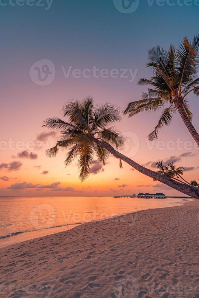Picturesque palm trees at tropical beach during sunset, romantic island landscape with colorful dusk sky, inspiring nature scene perfect for travel, vacation, relaxation and love photo