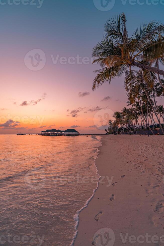 Sunset beach with palm trees photo