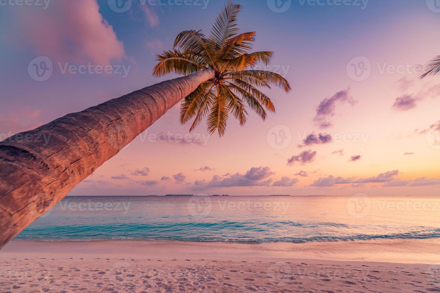 Tropical beach with palm tree at sunset photo