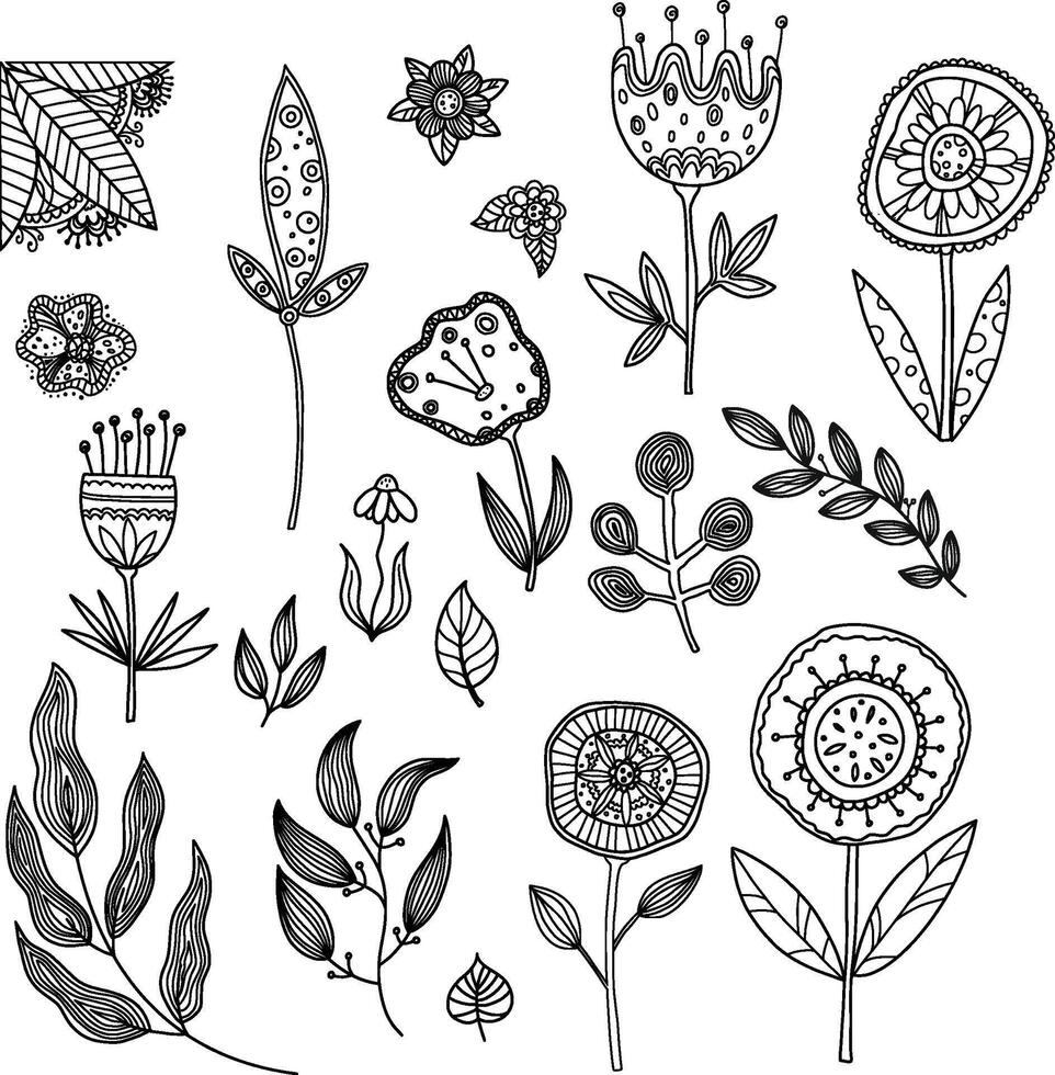 Contoured flowers in doodle style. Antistress coloring book. large botanical set. vector