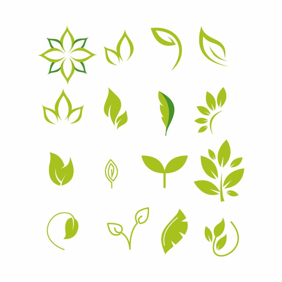 Set with green twigs. Icons on theme of natural eco products. vector