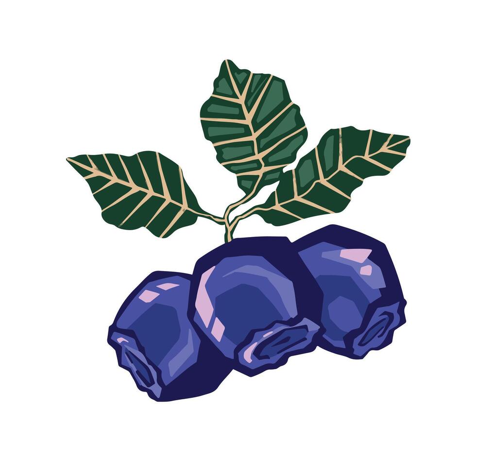 Blueberry berries hand drawing color vector