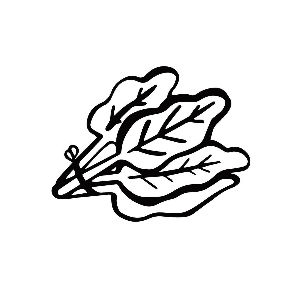 spinach arugula line symbol simple monochrome vector