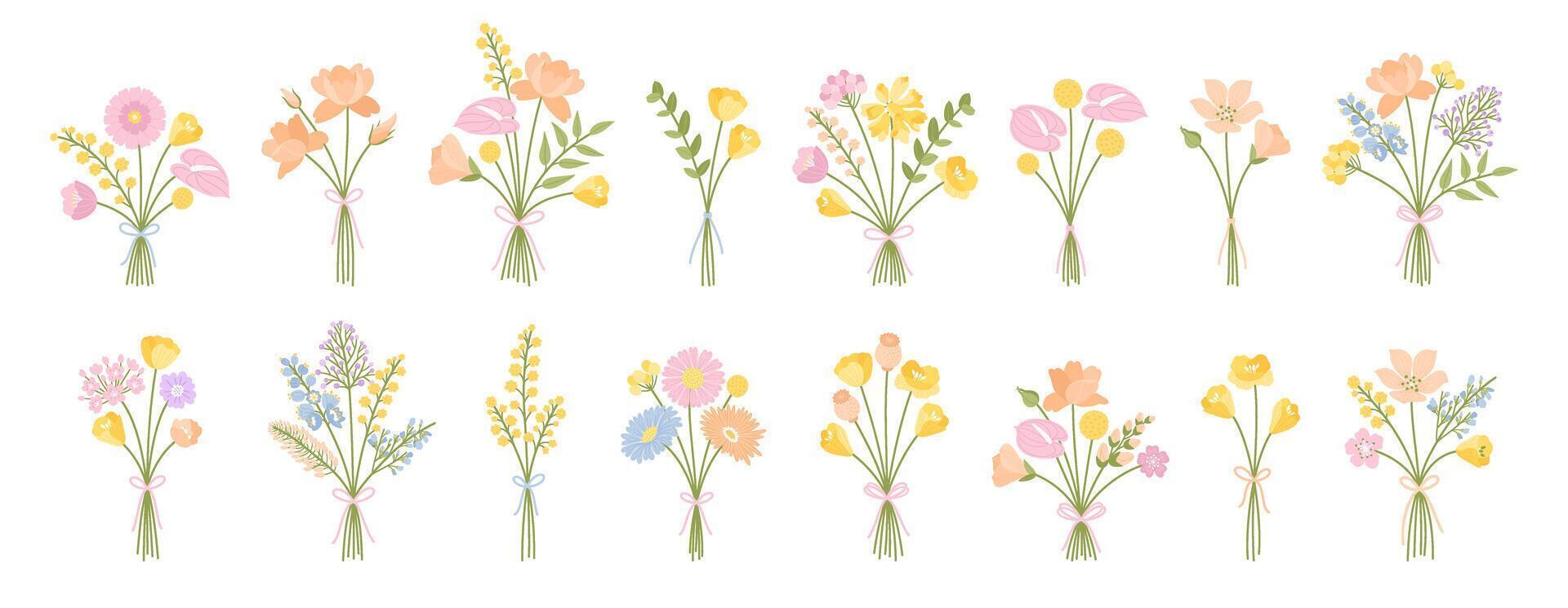 Set of summer delicate flower bouquets. Bunches of wildflowers tied with ribbons, illustration of meadow herbs, and wild plants for design projects vector