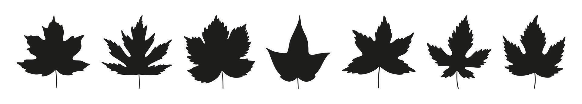 Set of simple autumn black maple leaves isolated on white background. Silhouette icons of flat leaves, illustration vector