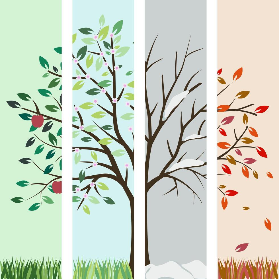 Season. Tree four times a year in spring, summer, autumn and winter. vector