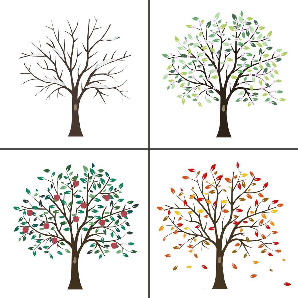 A set of pictures of the four seasons. Tree four times a year in spring, summer, autumn and winter. vector