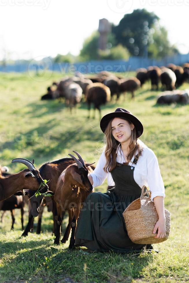 Farmer petting goats in green field with goats in background photo