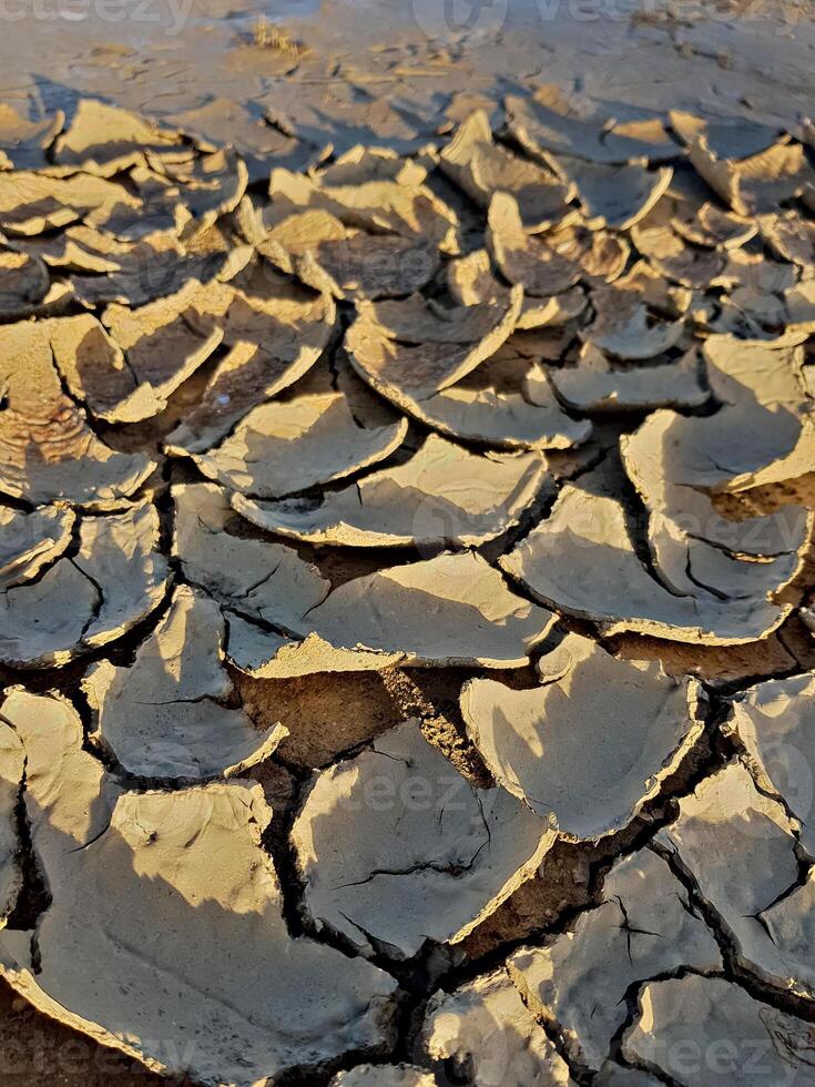 Intricate fissures in the soil expose the harsh reality of landscapes ravaged by extreme drought, resonating with the unyielding heat and severe aridity that have marked the terrain. photo