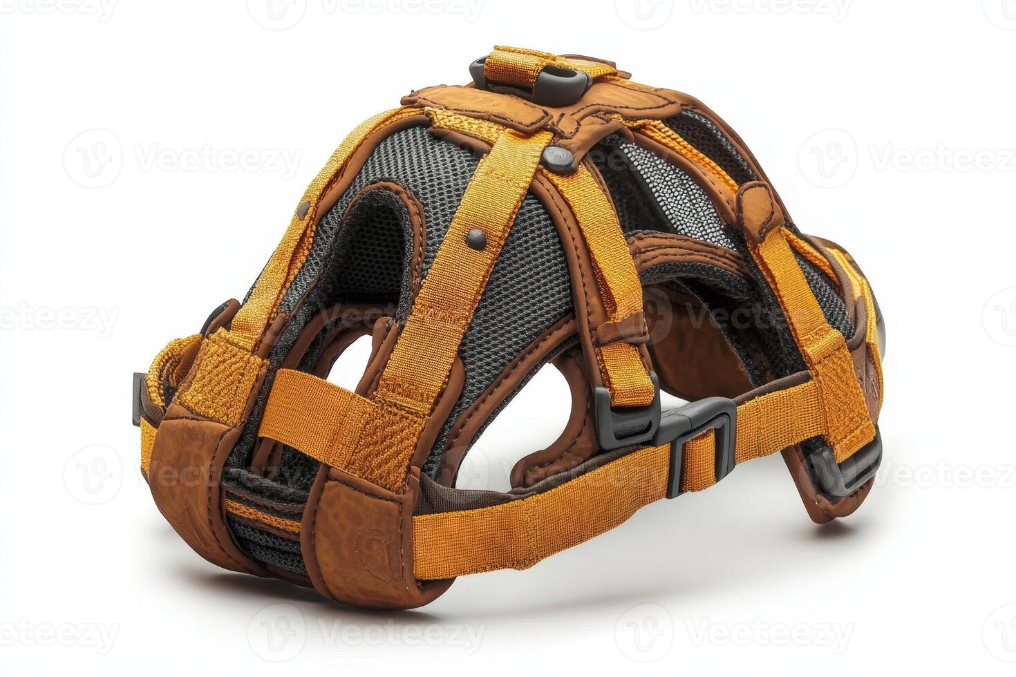 A dog's harness with a harness strap and a harness buckle photo