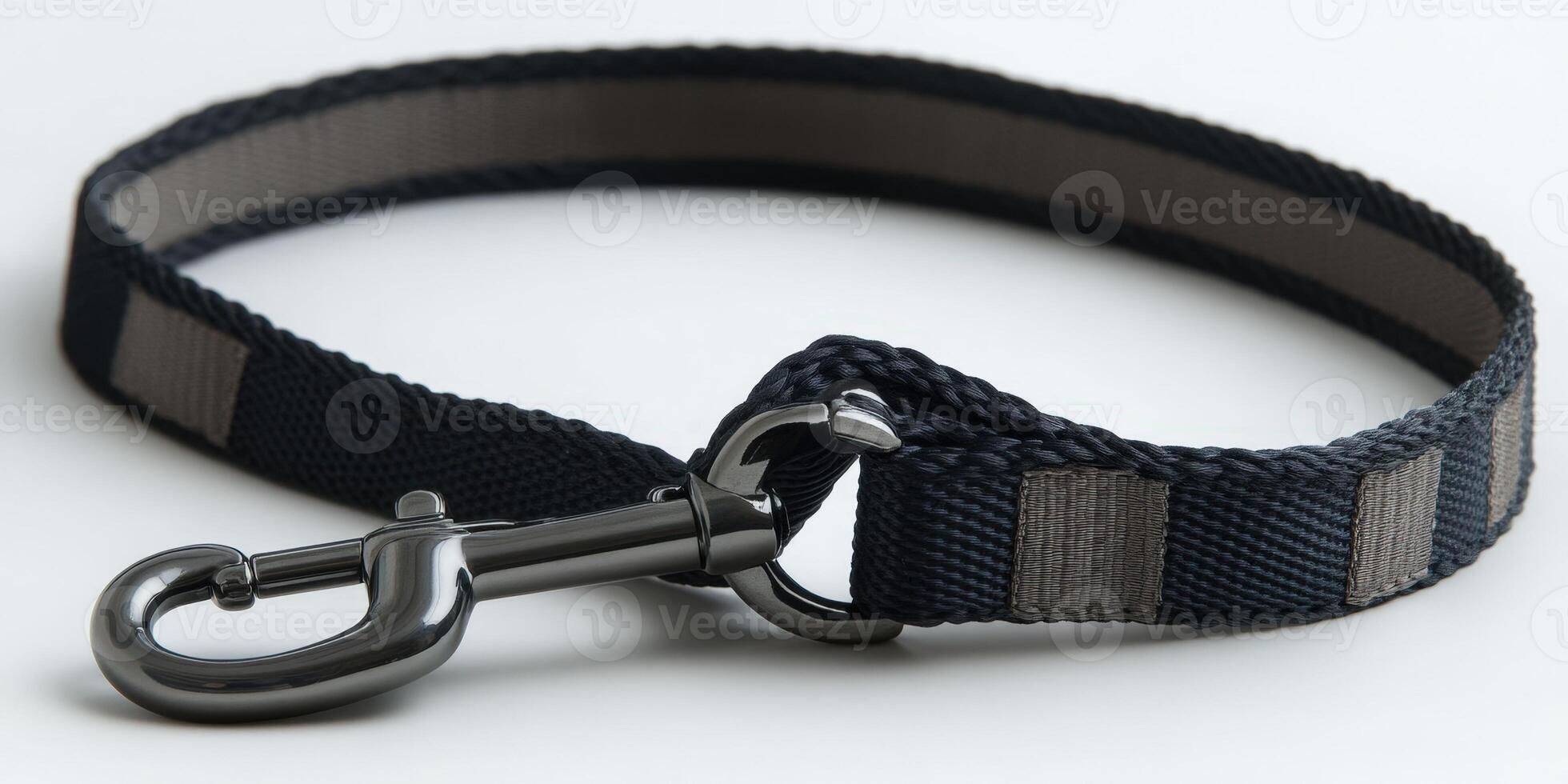 A black and grey dog leash with a metal hook photo