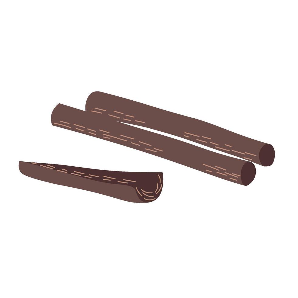 Cinnamon Sticks Illustration Hand Drawn vector