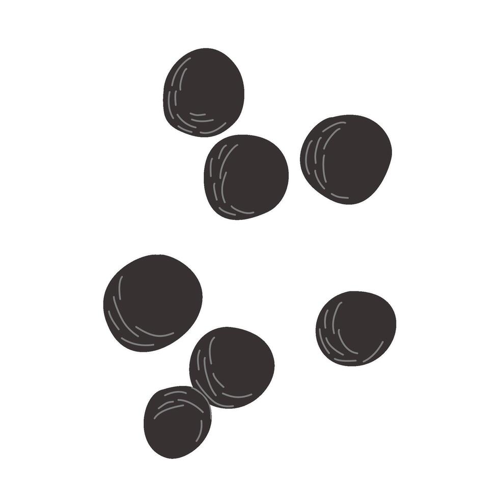 Black Peppercorns Spice Illustration vector