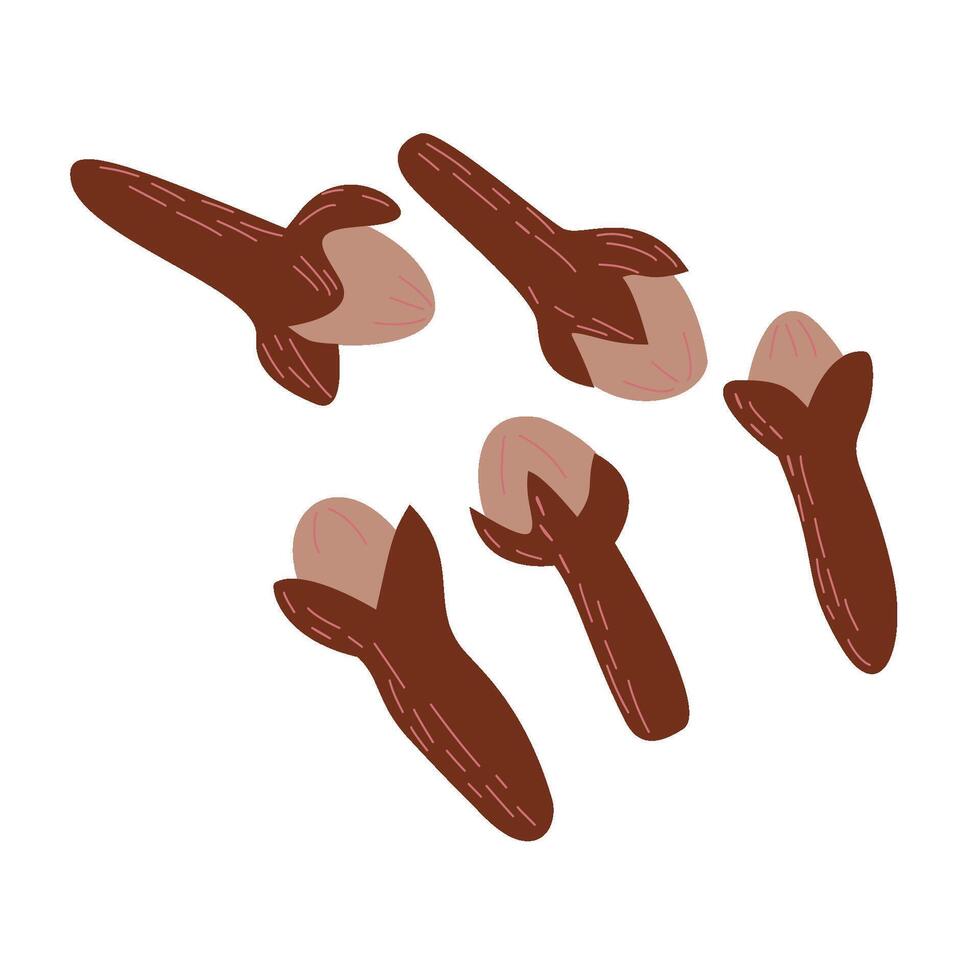 Whole Clove Spice Illustration vector