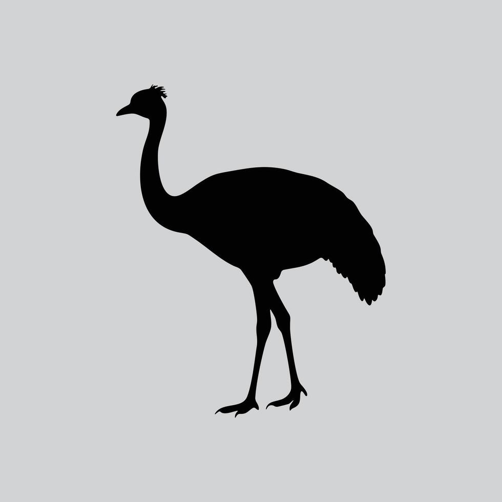 Nature Inspired Emu Illustration vector