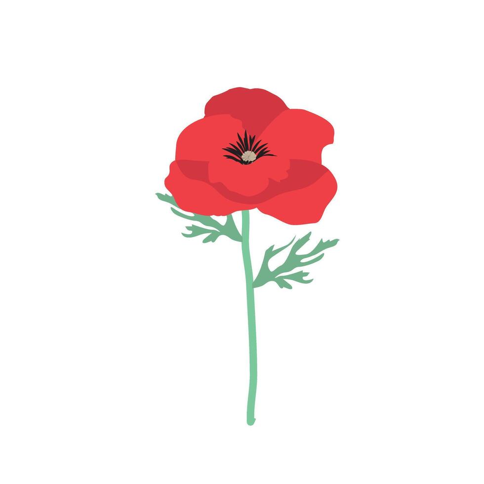 Poppy flower icon flower. hand drawn botany vector