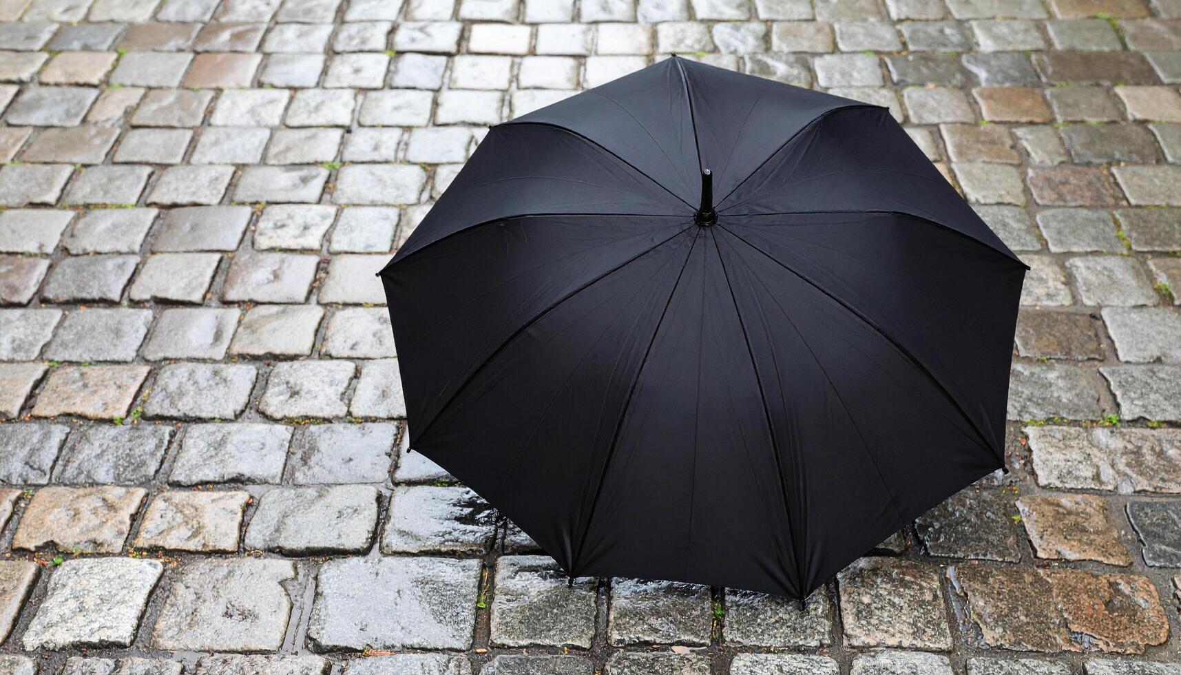 Black Umbrella On Wet Cobblestone photo