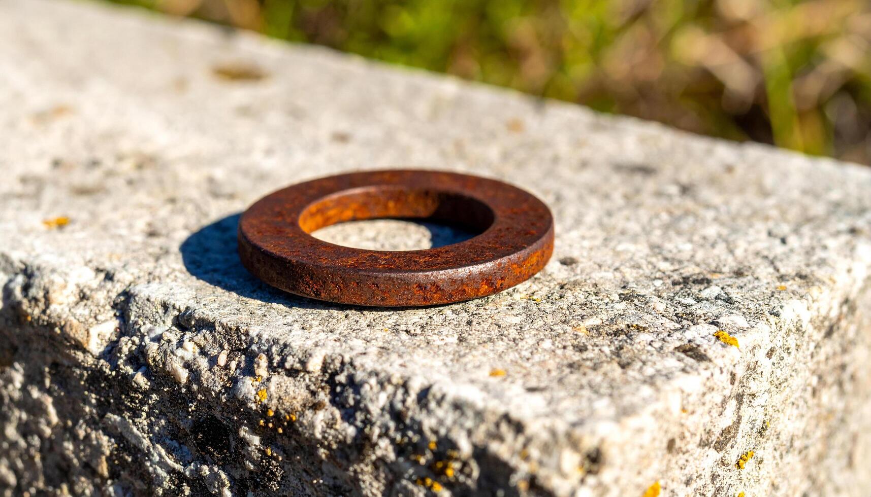 Rusted Washer On Concrete Edge photo