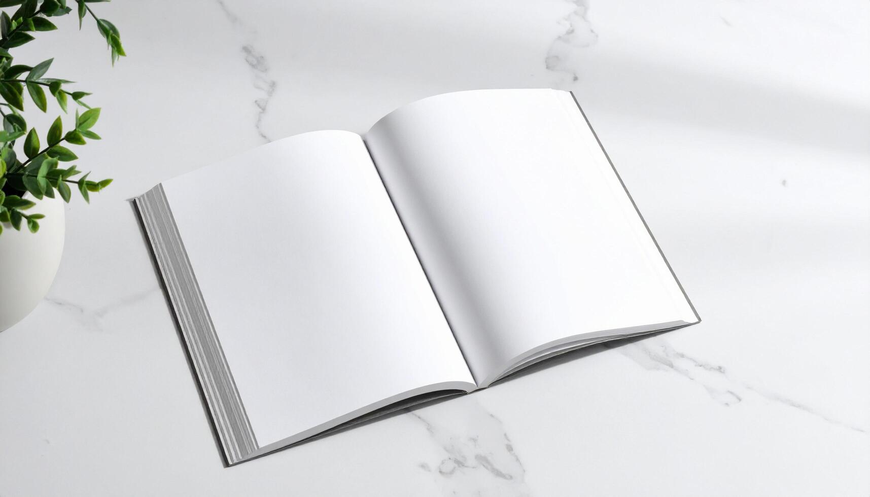 Open Book With Curved Page photo