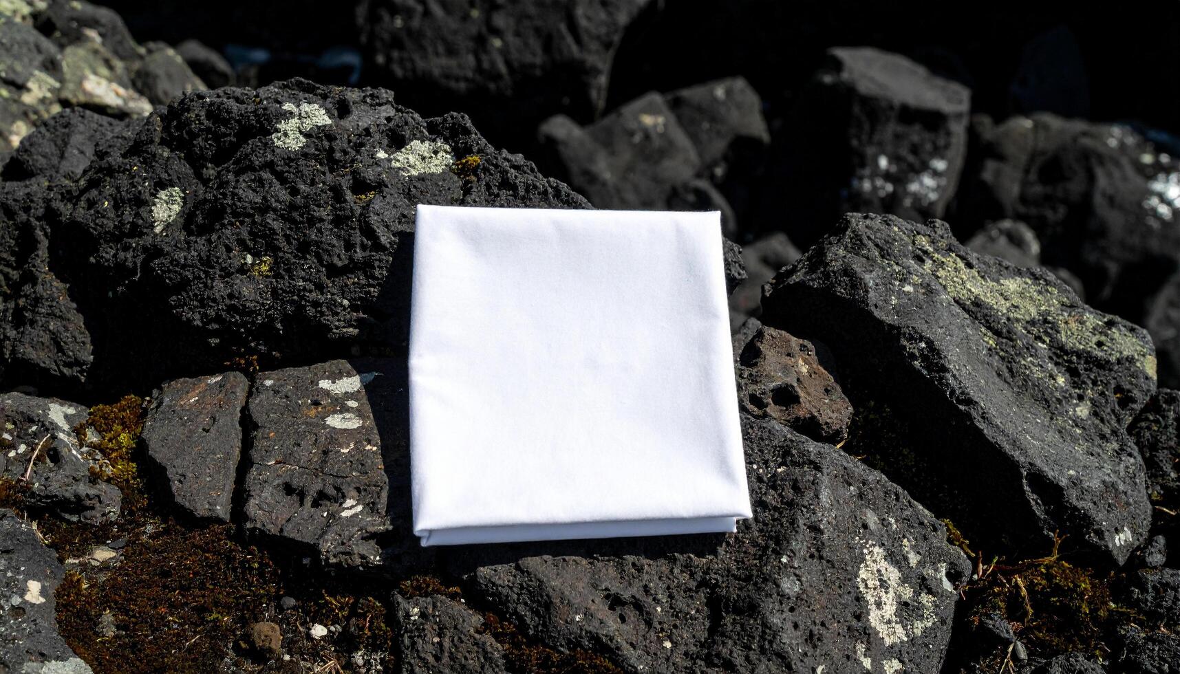 Linen Fold On Lava Ledge photo