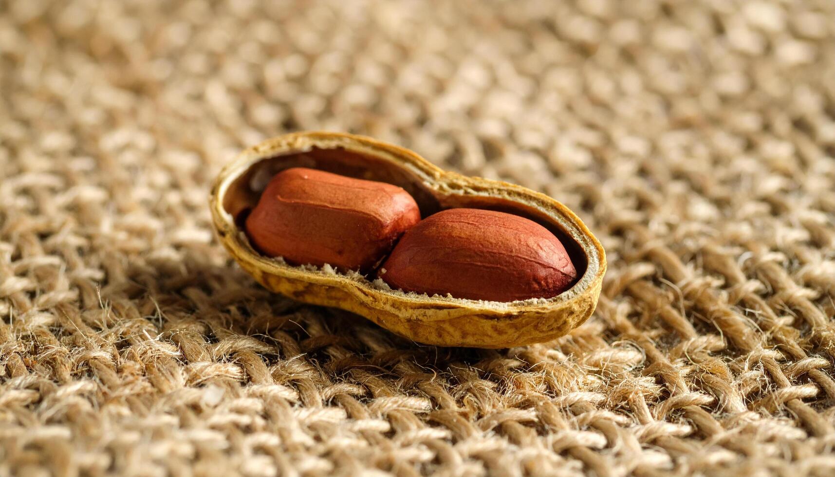 Peanut On Coarse Fabric Surface photo