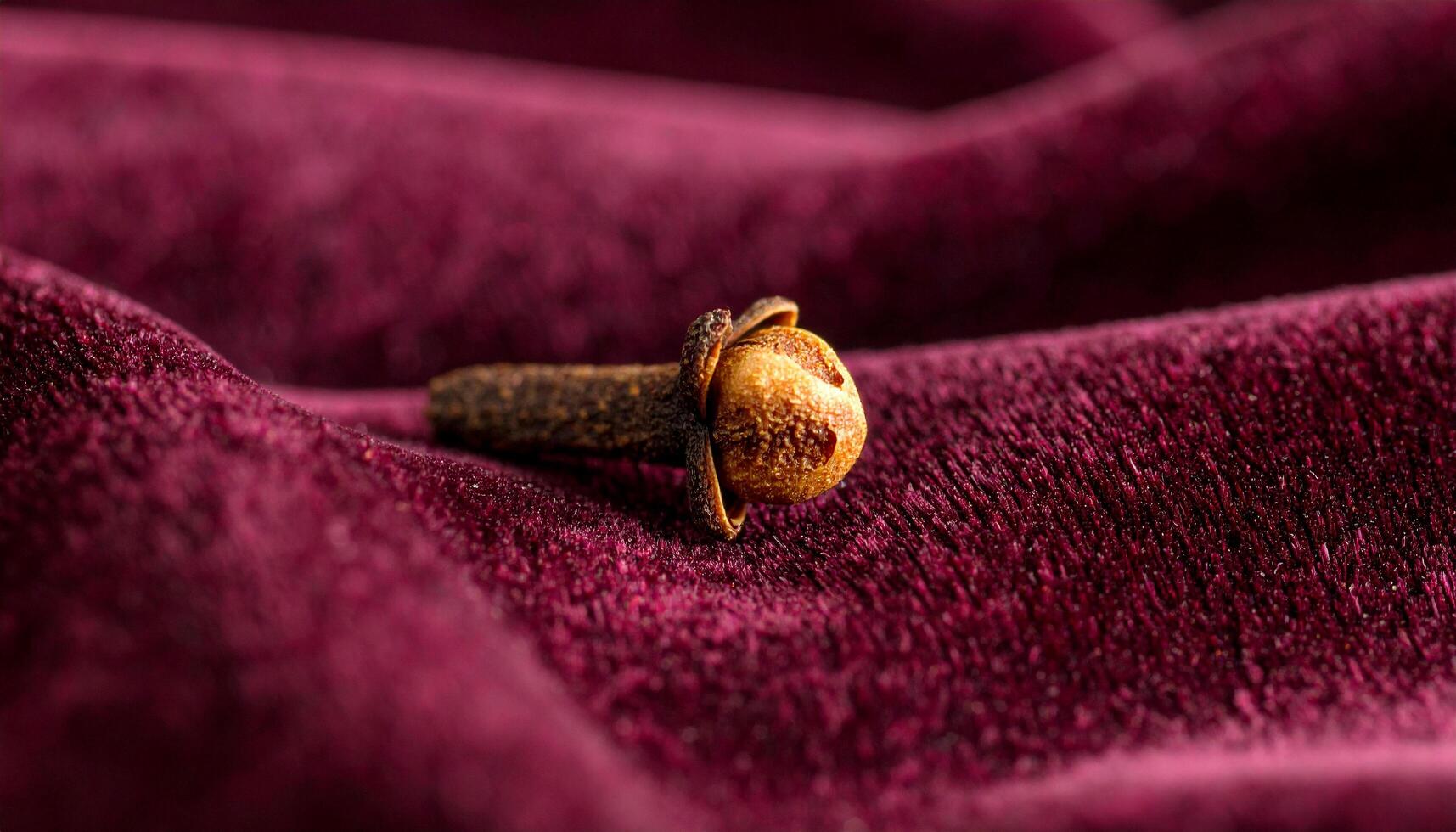 Clove On Velvet With Shadow photo
